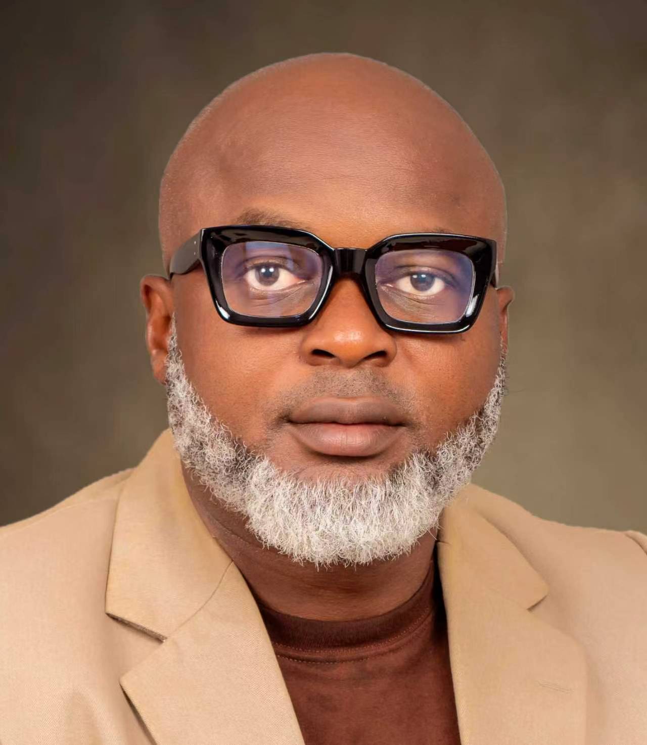 Adedayo O. Ademiluyi