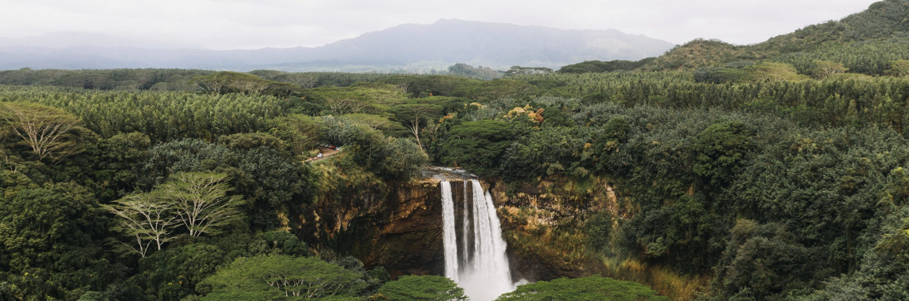 Strengthening biodiversity action: Liberia matches with academic consortium CASCADE